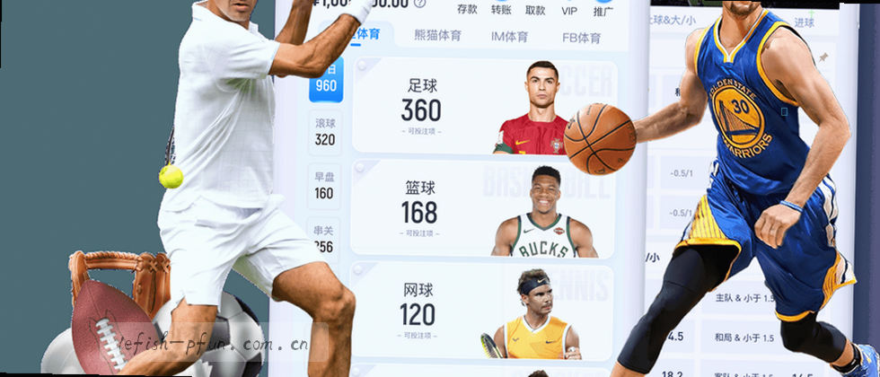 隐私保护与数据权益说明